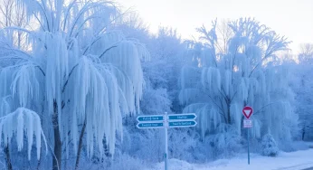 Weather Alert: Freezing Temperatures Expected in Columbia, South Carolina