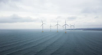 Empire Wind Project Construction Halted by Trump Administration