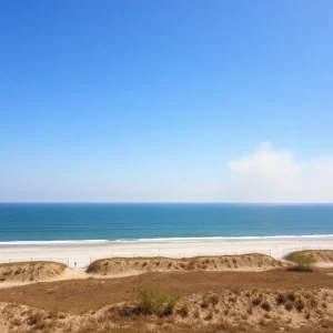 Myrtle Beach Wildfire Aftermath
