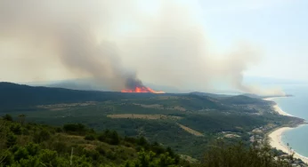 Myrtle Beach Faces Wildfire Crisis Amid State of Emergency